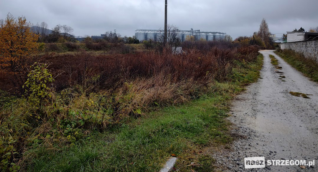 Brutalne morderstwo na działkach w Strzegomiu 